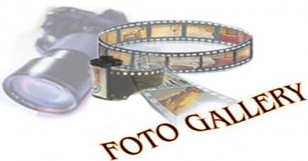 Fotogallery